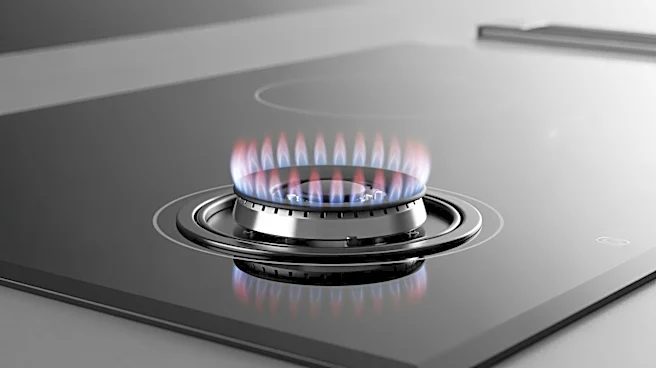 Consumer Reports Reveals Most Reliable Cooktop Brands of the Decade