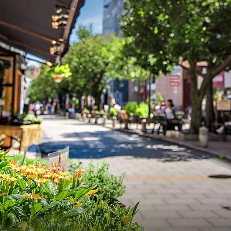 Jane’s Walk Stamford Encourages Community Exploration of Downtown on May 2