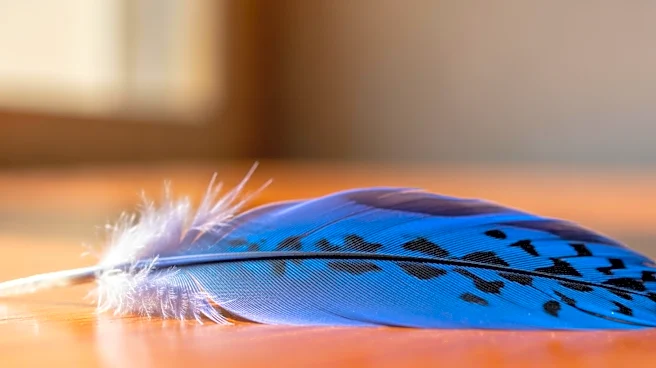 Blue Jays Promote Prospect Yohendrick Piñango Amid Injuries to Key Players