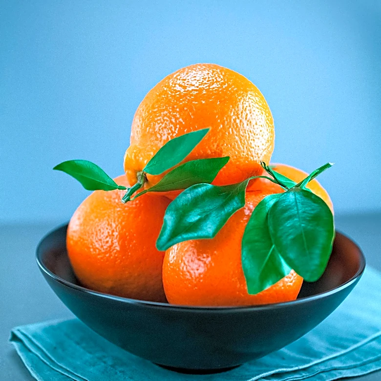 Dietitians Explain Differences Between Mandarins and Oranges and Their Health Implications