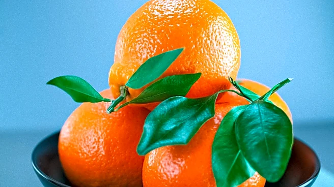 Dietitians Explain Differences Between Mandarins and Oranges and Their Health Implications