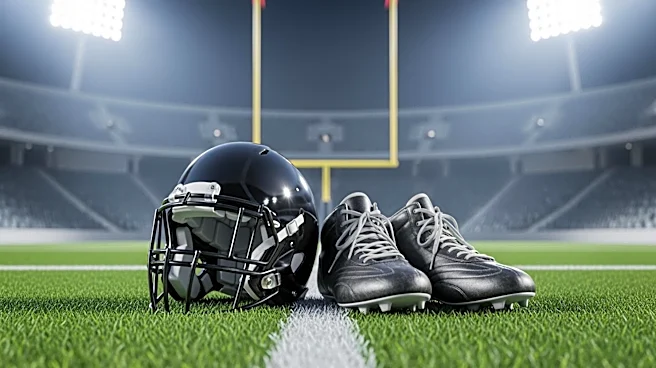 Ex-Michigan Stars J.J. McCarthy and Aidan Hutchinson Reunite with Former Teammates in NFL