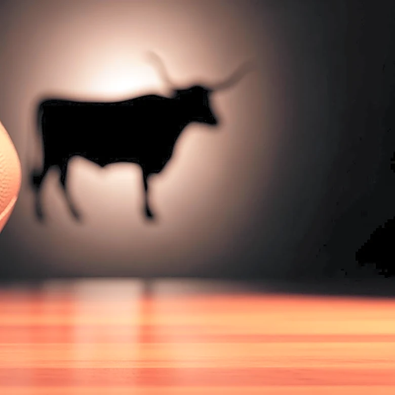 Texas Longhorns' Nick Townsend Poised to Follow Jack Endries to the NFL