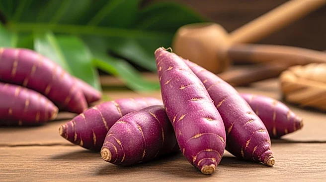 Ube's Global Popularity Surge Leads to Supply Challenges for Filipino Farmers