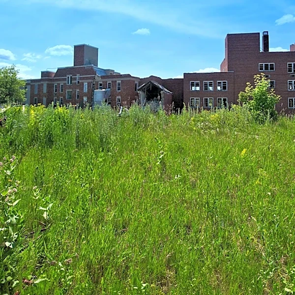 Restoration of Dawes Park in Auburn Gresham Celebrated with Ribbon Cutting