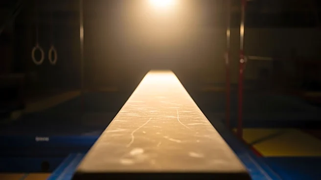 Olympic Champion Dolgopyat's Heir, Noam Berkowitz, Emerges as Promising Gymnast