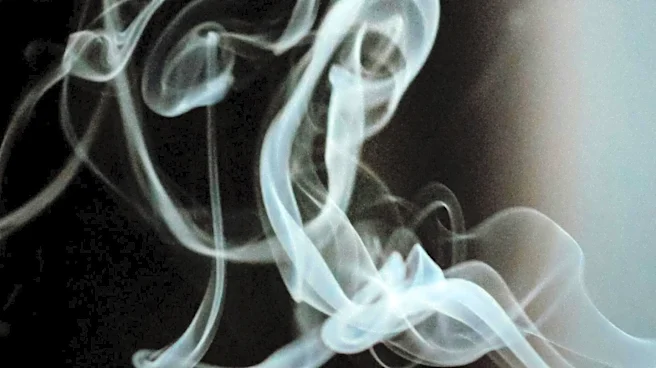 Global Shift Away from Cigarettes Raises Questions for Future Love Songs