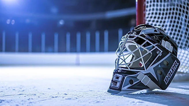 Lukas Dostal Leads Ducks to Victory with Strong Goaltending