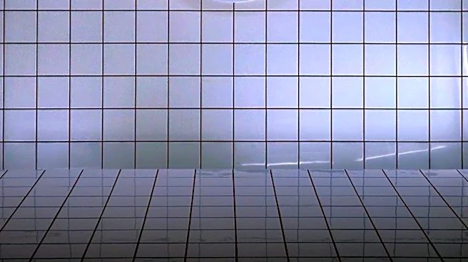 DIY Medical Diagnosis on Social Media Poses Risks to Public Health Understanding