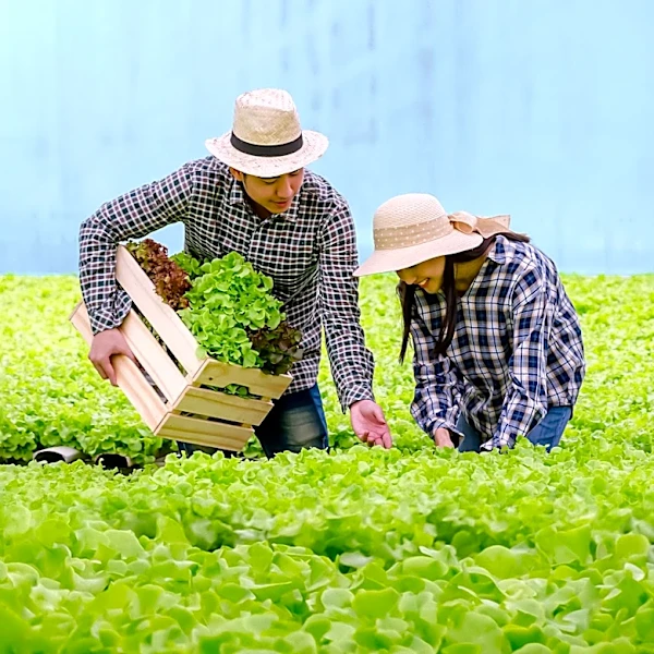 Lockewood Acres in Vacaville Promotes Regenerative and Sustainable Farming
