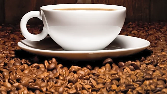 Study Finds Coffee, Both Caffeinated and Decaffeinated, Enhances Mood and Cognitive Performance
