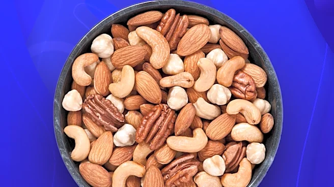 High-Protein Snack Aids Weight Loss Without Calorie Tracking