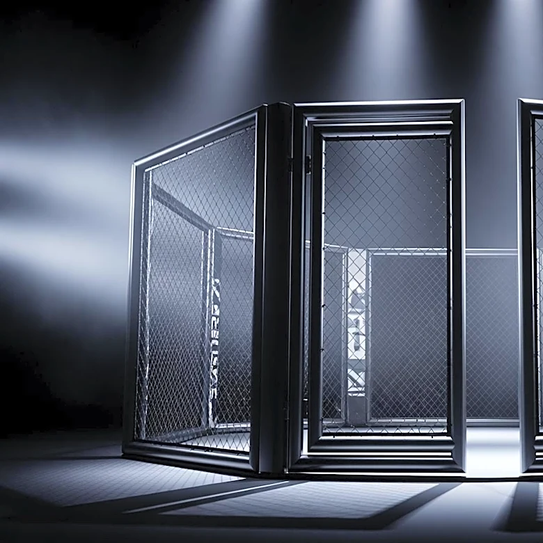 Conor McGregor Promises UFC Return Amid Speculation and Doubts