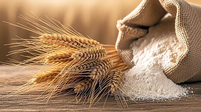 Farinart Introduces 100% Local Whole-Grain Flours to Promote Sustainable Baking