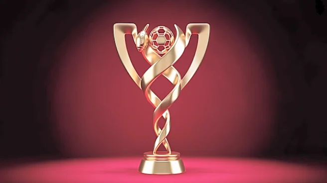 Stanford University Maintains 50-Year Streak of NCAA Championships Across Multiple Sports