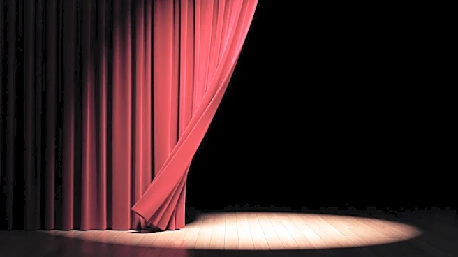 Megan Thee Stallion to Depart 'Moulin Rouge!' Early Due to Health Concerns