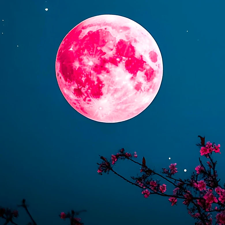 Full Flower Moon and Beltane Bring Transformative Energies to Weekly Horoscope