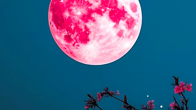 Full Flower Moon and Beltane Bring Transformative Energies to Weekly Horoscope
