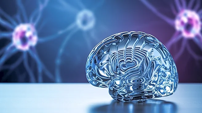 Seaport Therapeutics Appoints Dr. Sharon Mates to Board, Enhancing Neuropsychiatric Focus