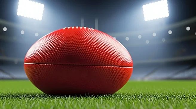 AFL Round 7 Report Card: Brisbane Lions Dominate, Adelaide Crows Struggle