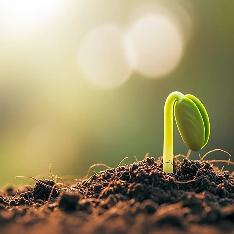 Rallis India Reports Narrowed Net Loss in Q4, Boosts Market Confidence