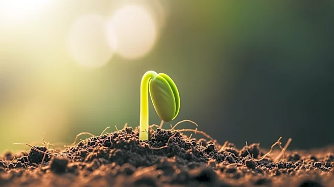 Rallis India Reports Narrowed Net Loss in Q4, Boosts Market Confidence