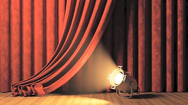 Megan Thee Stallion Exits Broadway's Moulin Rouge! Early