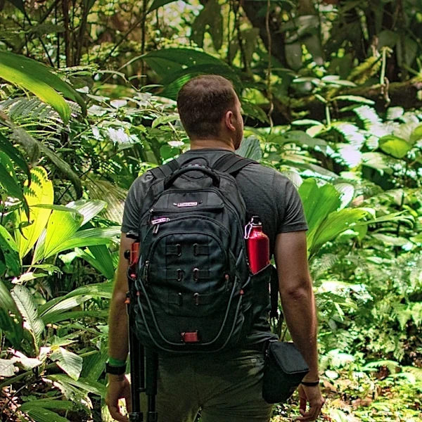 Consumer Reports Identifies Patagonia Black Hole Mini MLC as Top Travel Backpack for Versatility and Durability