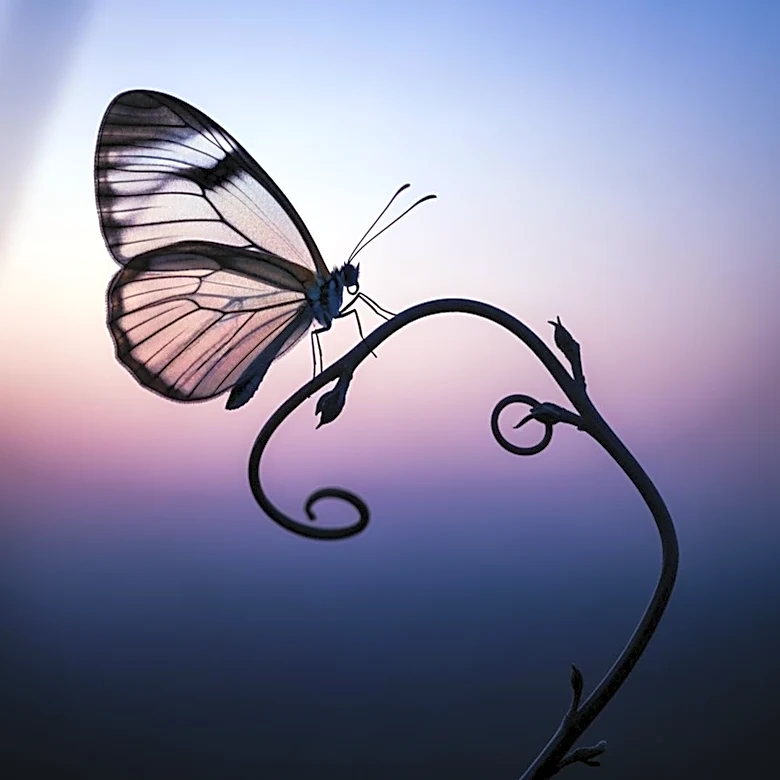 Euphoria's Third Season: Jules Vaughn's Complex Journey