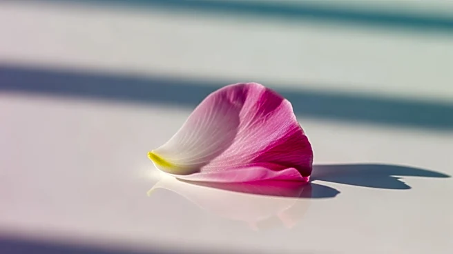 Ariana Grande Announces New Album 'Petal' with July Release Date