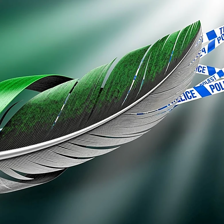 Philadelphia Eagles Draft Nigerian Defensive Lineman Uar Bernard