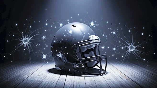 Baltimore Ravens' Ja'Kobi Lane Makes Controversial CTE Claim During Livestream