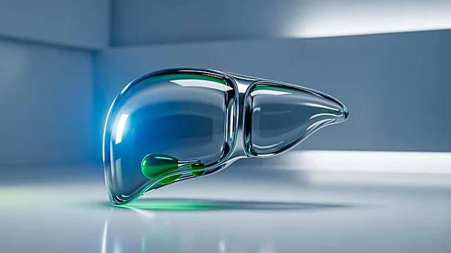 Echosens Appoints Romain Baujard as New CEO to Drive Liver Health Innovation