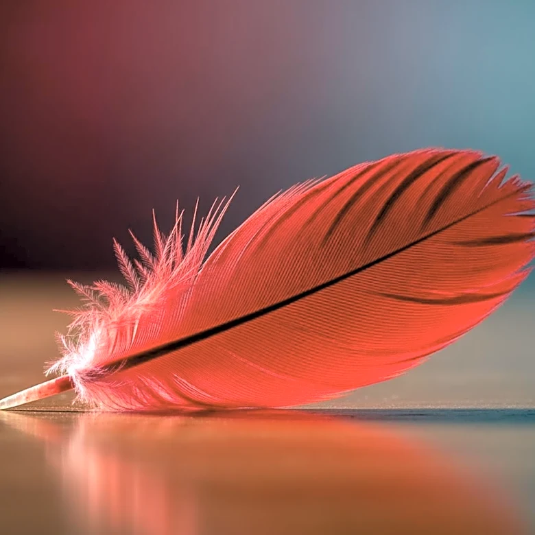 Arizona Cardinals Overlooked in NFL Power Rankings Post-Draft