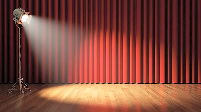 Megan Thee Stallion Exits 'Moulin Rouge!' Early, Final Performance Set for May 1