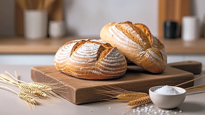 Bimbo Bakeries USA Introduces New Artesano Bread Products to Elevate Mealtimes