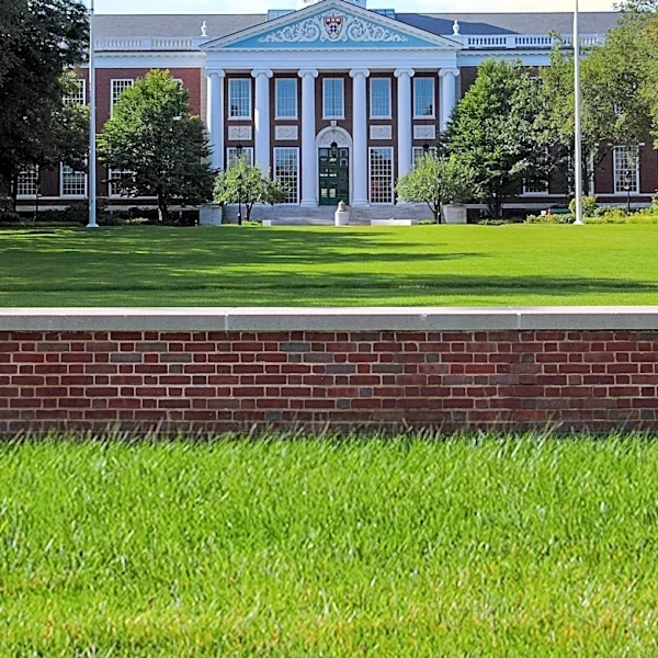 Harvard Business School Invites Influencers to Share Insights with Students