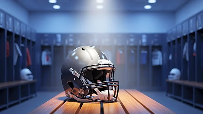 Ravens Expand QB Roster with Signing of Diego Pavia