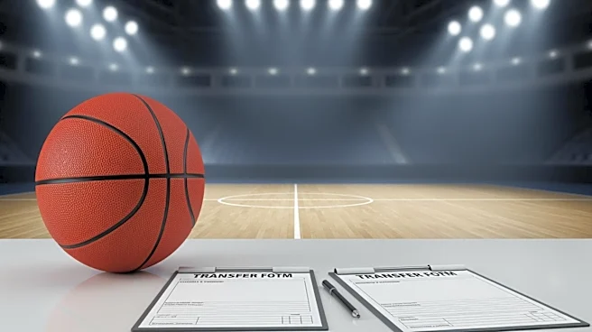 St. John's Loses Top Transfer Target Massamba Diop to Gonzaga