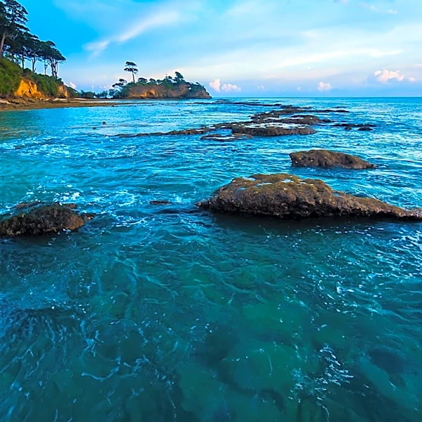 Monterey, California: A Seaside Retreat for Nature and Adventure Enthusiasts