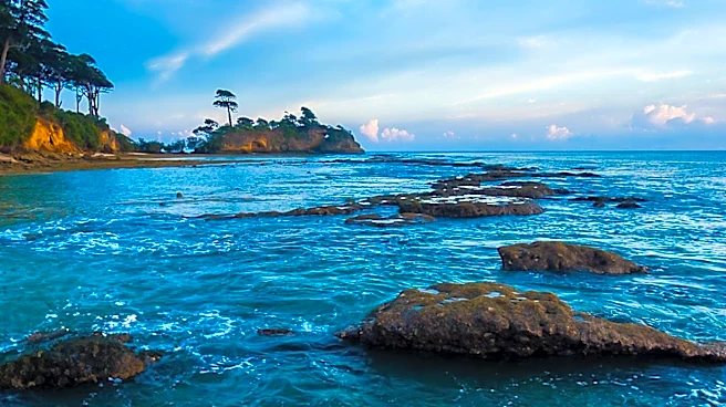 Monterey, California: A Seaside Retreat for Nature and Adventure Enthusiasts