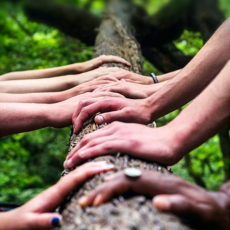 Self-Attunement Framework Offers Resilience for Trauma Survivors