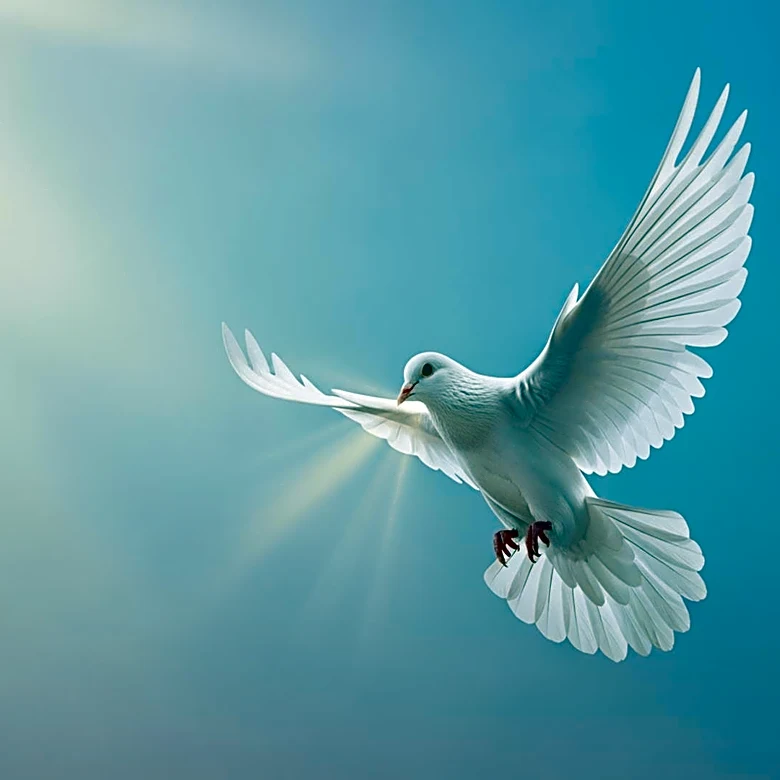 Barry Keoghan Denies Cheating Rumors Following Sabrina Carpenter Breakup