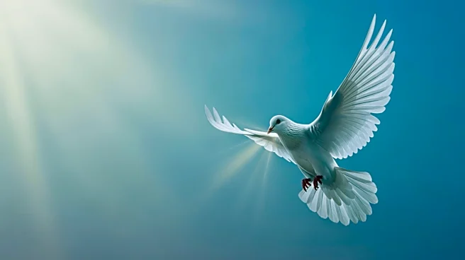 Barry Keoghan Denies Cheating Rumors Following Sabrina Carpenter Breakup