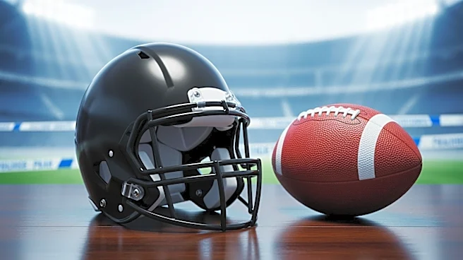 Baltimore Ravens Sign Undrafted QB Diego Pavia for Developmental Role