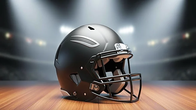 Fernando Mendoza Embraces Role as Raiders' Top Draft Pick