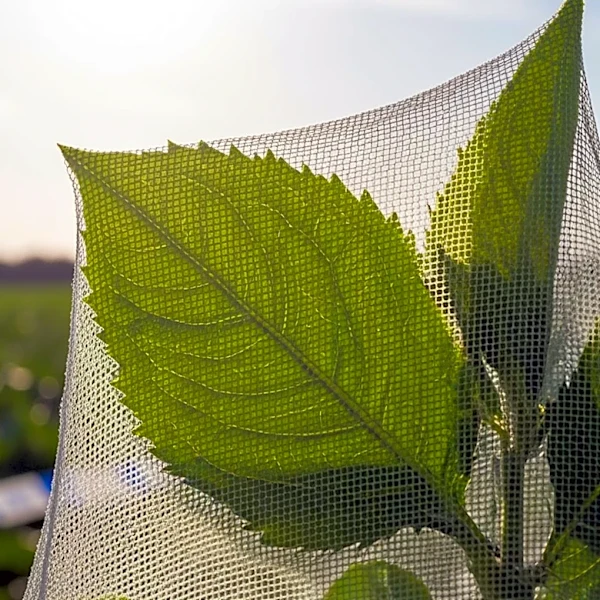 Agricultural Textiles Market Growth Driven by Eco-Friendly Demand and Technological Advancements