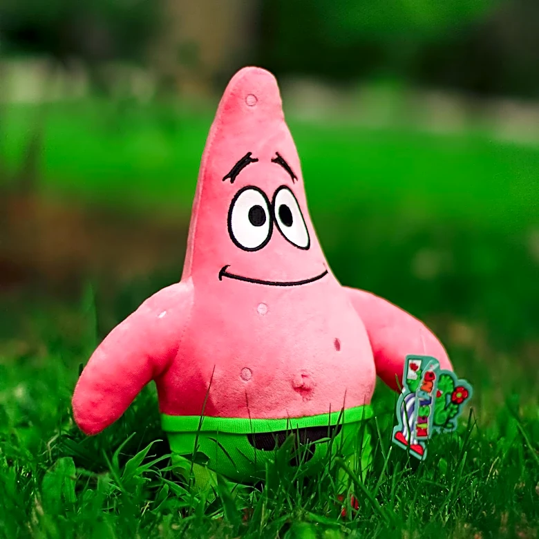 Emy Adventure: A Plush Toy Captivates Social Media with Unique Challenges