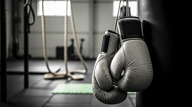 Sean Strickland Trains with Francis Ngannou Ahead of UFC 328 Title Fight