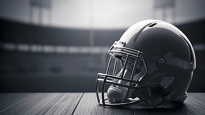 Former Arizona Cardinals Player Josh Mauro Dies at 35